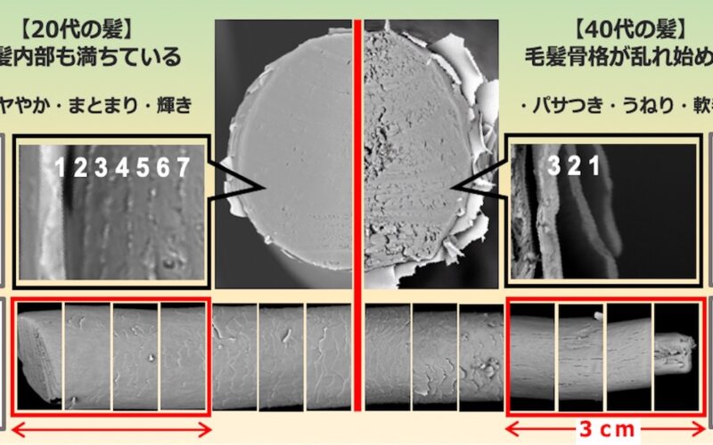髪年齢、老けて見えていませんか？若々しい髪を保つ頭皮ケア習慣【髪#01】