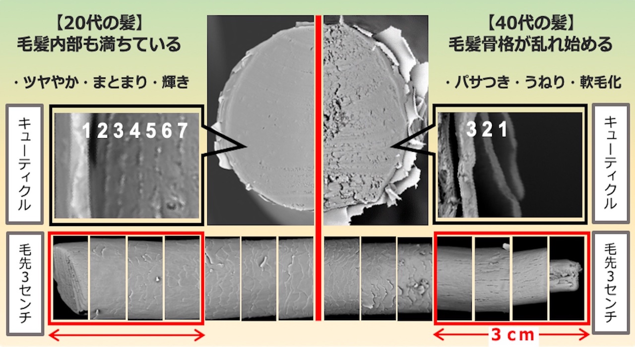髪年齢、老けて見えていませんか?若々しい髪を保つ頭皮ケア習慣【髪#01】