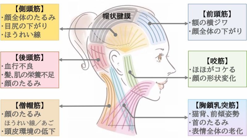肌#120【40代の整形10】わずか1ミリの努力